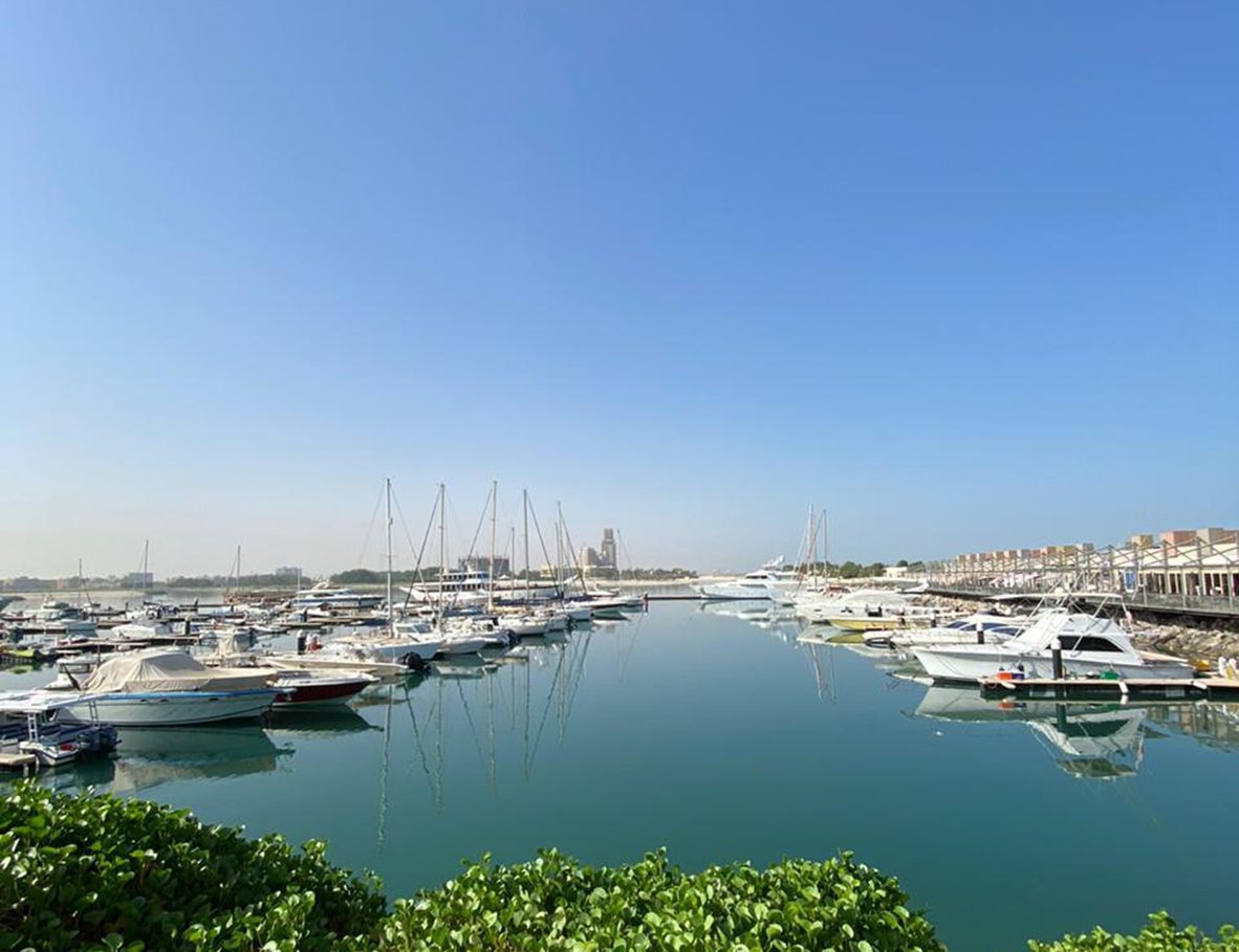 dubai marina yacht club membership fees